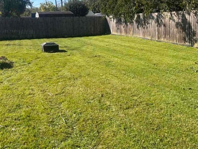 Lawn Care service in Piqua, 45356