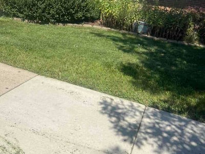 Lawn Care service in Lemont, 60439