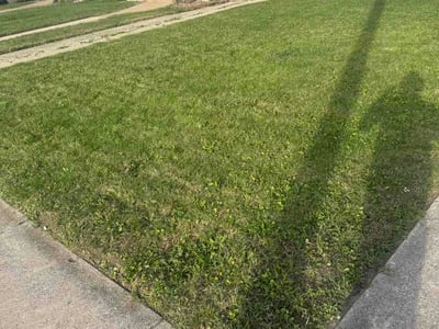 Lawn Care service in Lemont, 60439