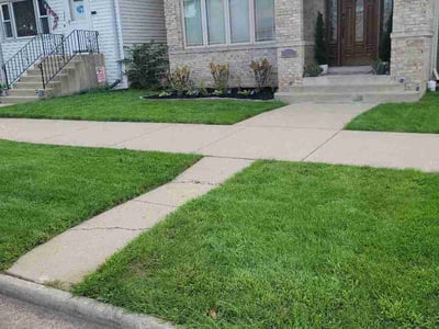 Lawn Care service in Lake In The Hills, 60156