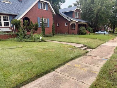 Lawn Care service in Clayton, 63105