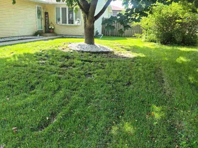 Lawn Care service in Joliet, 60432