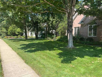 Lawn Care service in Franklin, 46131