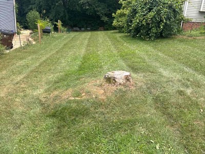 Lawn Care service in Covina, 91723