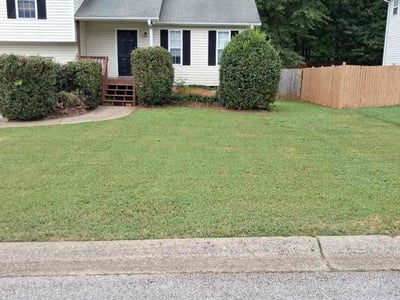 Lawn Care service in Villa Rica, 30180