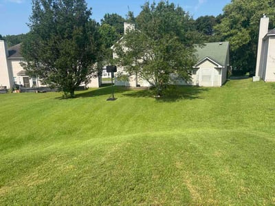Lawn Care service in Leawood, 64804