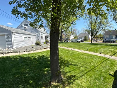 Lawn Care service in New Brunswick, 08901