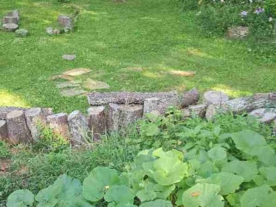 Lawn Care service in Compton, 90220