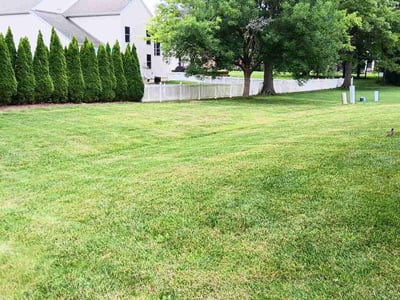 Lawn Care service in Ambler, 19002