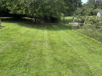 Lawn Care service in Platte City, 64079