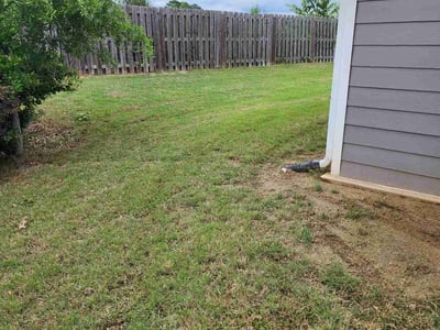 Lawn Care service in New Brunswick, 08901