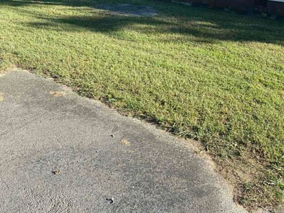 Lawn Care service in Harvest, 35749