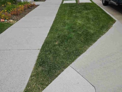 Lawn Care service in Nazareth, 18064