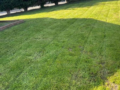 Lawn Care service in South Gate, 90280