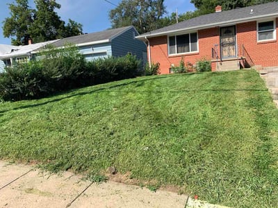 Lawn Care service in California City, 93505