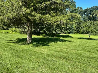 Lawn Care service in Hellertown, 18055