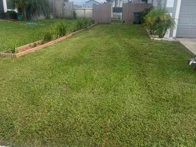 Lawn Care service in Winter Haven, 33881