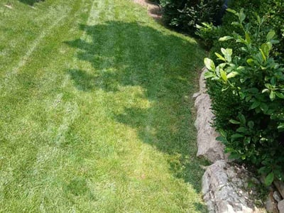 Lawn Care service in Shawnee, 66203