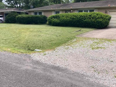 Lawn Care service in California City, 93505