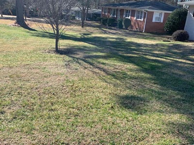 Lawn Care service in Big Bear Lake, 92315