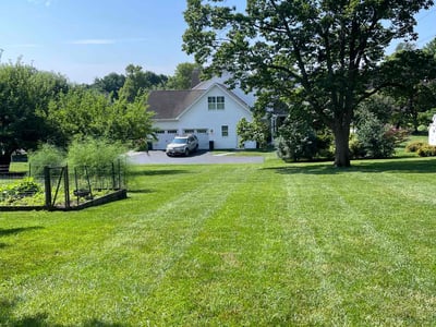 Lawn Care service in Lititz, 17543