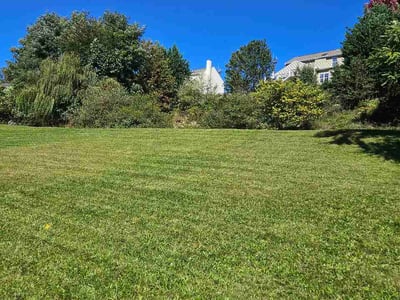 Lawn Care service in Enola, 17025
