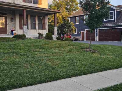 Lawn Care service in Enola, 17025