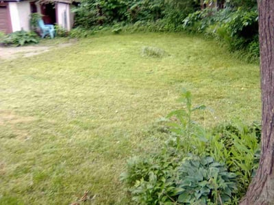 Lawn Care service in North Branch, 55056