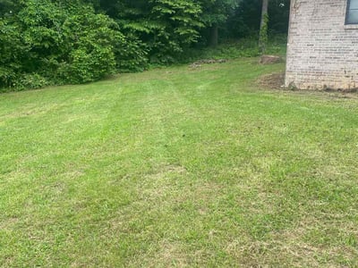 Lawn Care service in Inland Empire, 92262