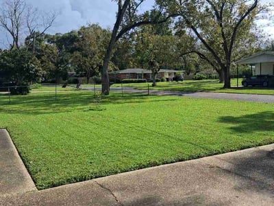 Lawn Care service in ,