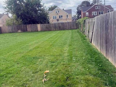 Lawn Care service in Drexel Hill, 19026