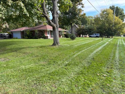 Lawn Care service in Flushing, 48433