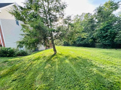 Lawn Care service in Harrisburg, 17102