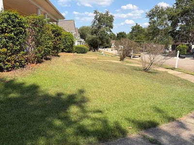 Lawn Care service in Tucker, 30084