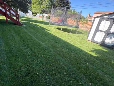 Lawn Care service in Upper Arlington, 43212