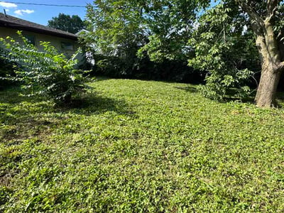 Lawn Care service in Upper Arlington, 43212
