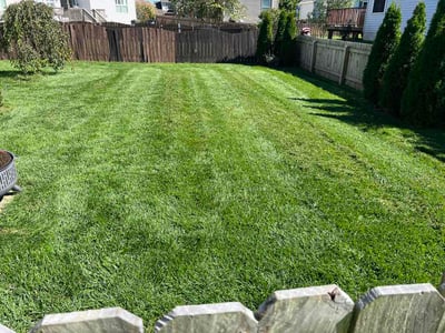 Lawn Care service in Marysville, 43040