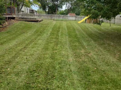 Lawn Care service in Waterloo, 64097