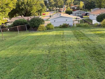 Lawn Care service in Pacific, 63069