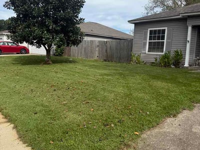Lawn Care service in Gulf Breeze, 32561
