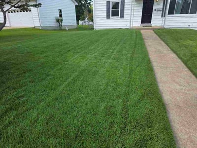 Lawn Care service in Overland, 63114