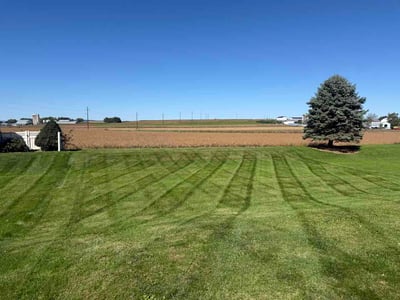 Lawn Care service in New Holland, 17557