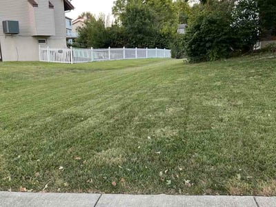 Lawn Care service in High Ridge, 63049
