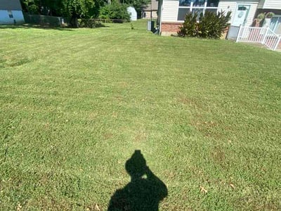 Lawn Care service in Hazelwood, 63042