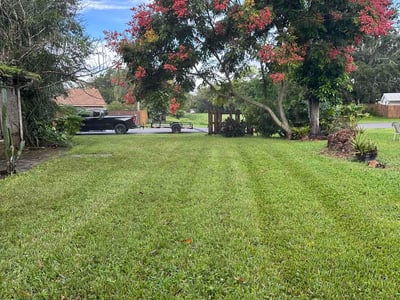 Lawn Care service in Indialantic, 32903