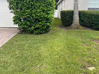 Lawn Care service in Oviedo, 32765