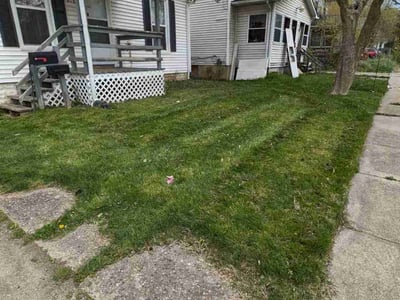 Lawn Care service in West Bloomfield, 48323