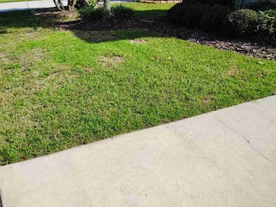 Lawn Care service in Mount Dora, 32757
