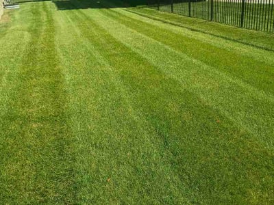 Lawn Care service in Clarkston, 48346