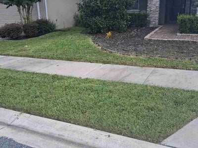 Lawn Care service in Davenport, 33837